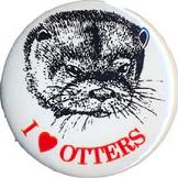 IOSF 'I Love Otters' Badge