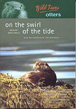 On the Swirl of the Tide (Bridget MacCaskill)